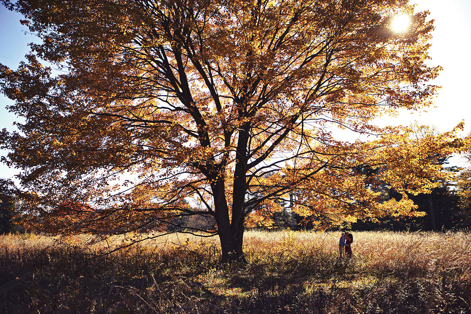 The couple hugs under a large tree, adorned with golden yellow leaves in the warm sunny fall weather at the Tyler Arboretum for their engagement photos, photographed by Peter Van Beever