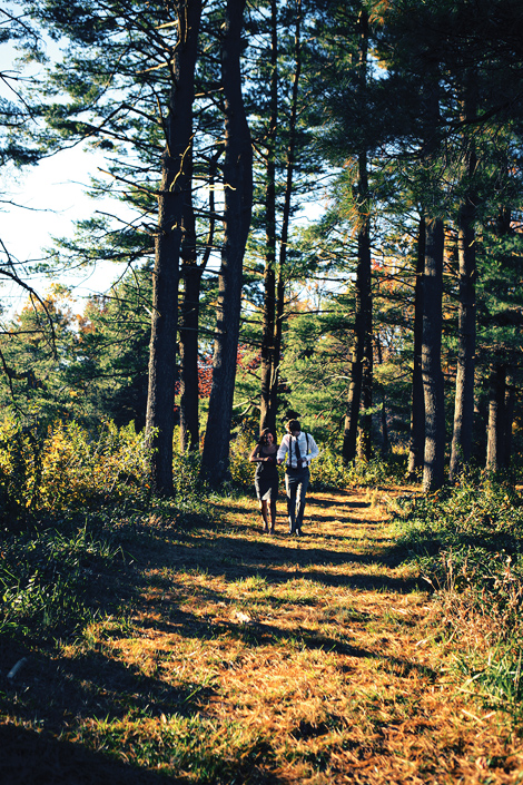 A couple runs through pine trees during their engagement shoot at the Tyler Arboretum