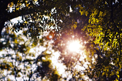 A late summer, early fall sun warms and lights the wedding day